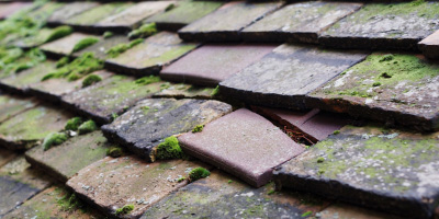 Maldon roof repair costs